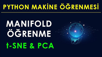PYTHON ile MANIFOLD ÖĞRENME & t-SNE & PCA