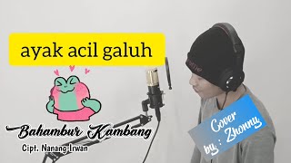 Bahambur Kambang Nanang Irwan cover