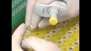 Multiplex PCR and Reverse Line Blot Hybridization Assay mPCR RLB   Protocol