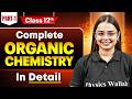 Class 12 Organic Chemistry Complete Revision ⚡ | Full Board Exam Prep 2026 | Shourya Ma'am