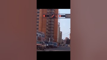 Predator countdown timer