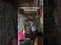 ты всё, что есть у меня