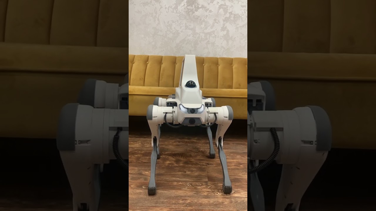 Робот Собака SCREEN на ваше Мероприятие! Аренда Робот Мода 