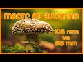 VLOG Macro photographie : Macro en automne - Quelle focale choisir?