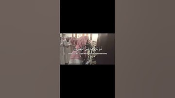 سورة التكاثر كما لم تسمعها من قبل #تلاوات #اكسبلور #quran #بدون_حقوق #لايك #تلاوتقران #محمد_اللحيدان