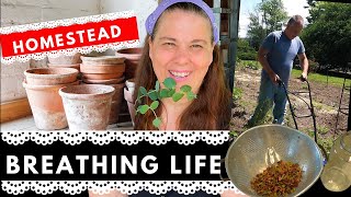 Time-lapse, Breathing Life on the Homestead