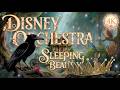 Disney Orchestra🎻| Music for Stress Relief, Calm & Study| The Sleeping Beauty: Forest of Dreams 👑🌲