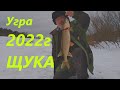 Рыбалка Щука  Угра 2022г