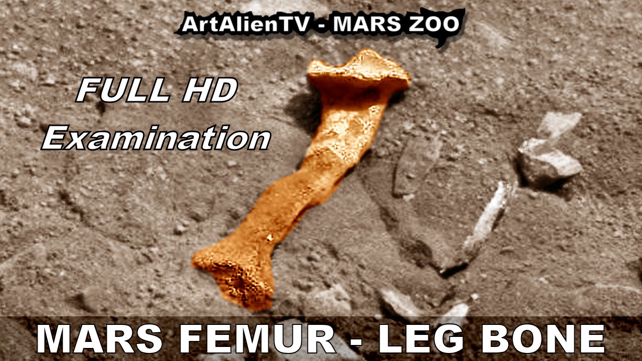 rovera MARS LEG BONE - Forensic Examination in Full HD. ArtAlienTV