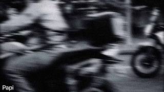 Junior Simba & Bouvier - Papi - Junior Simba