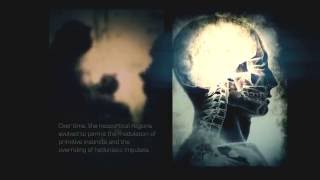 Бог в нейронах  (Тайны сознания) Теория Всего от Athene