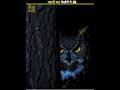 Why do owls hunt at night 😱 #shorts