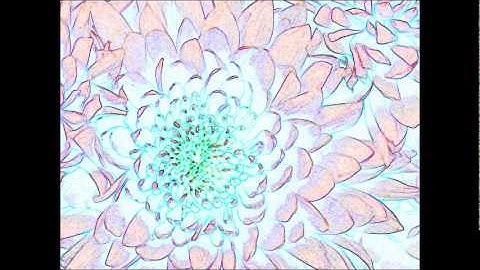 Track 12  Mc Miro   Marcella   Album tot hier en niet verder