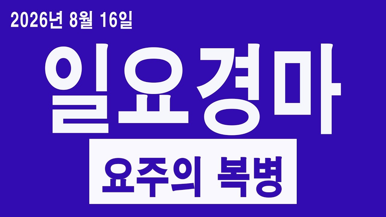 [경마 예상 방송 원석 경마] 2026년 8월 16일 일요일 서울경마, 부산경마 예상방송 3두 및 오늘의 요주의 복병!!