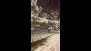 Kar Doğal Felaket Içinde Odessa ... Kar Yağışı
