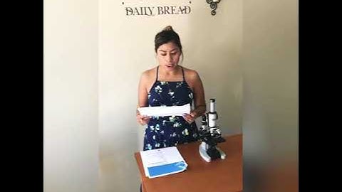 Bacterial morphology and staining technique exercise 1