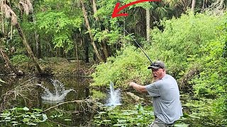 Fishing For BLUEGILL In a Hidden River I Found on Google Maps!!
