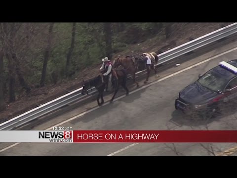 Mane highway: Cowboy adds horsepower to busy Atlanta freeway