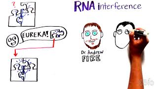 What is RNA interference (RNAi)?