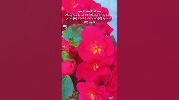 سورة العلق 14-17 #اكسبلور #المصحف #قران_كريم #quran #azkar #تعليم_الاطفال #راحة_نفسية