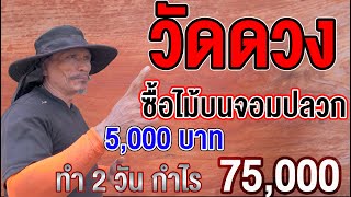 ‼️ วัดดวงซื้อไม้ บนจอมปลวก 5,000 บาท ทำ 2 วัน กำไร 75,000 screenshot 2