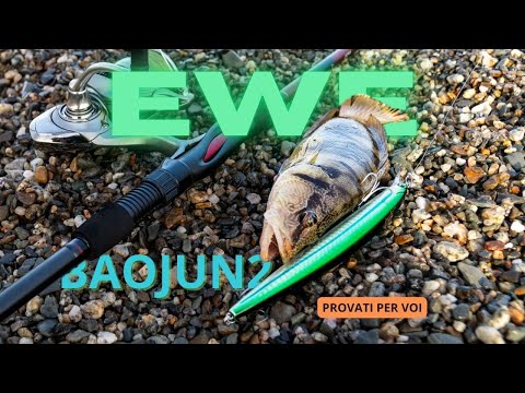 EWE BAOJUN2: Floating Minnow ECONOMICO &amp; performante - LONGJERK