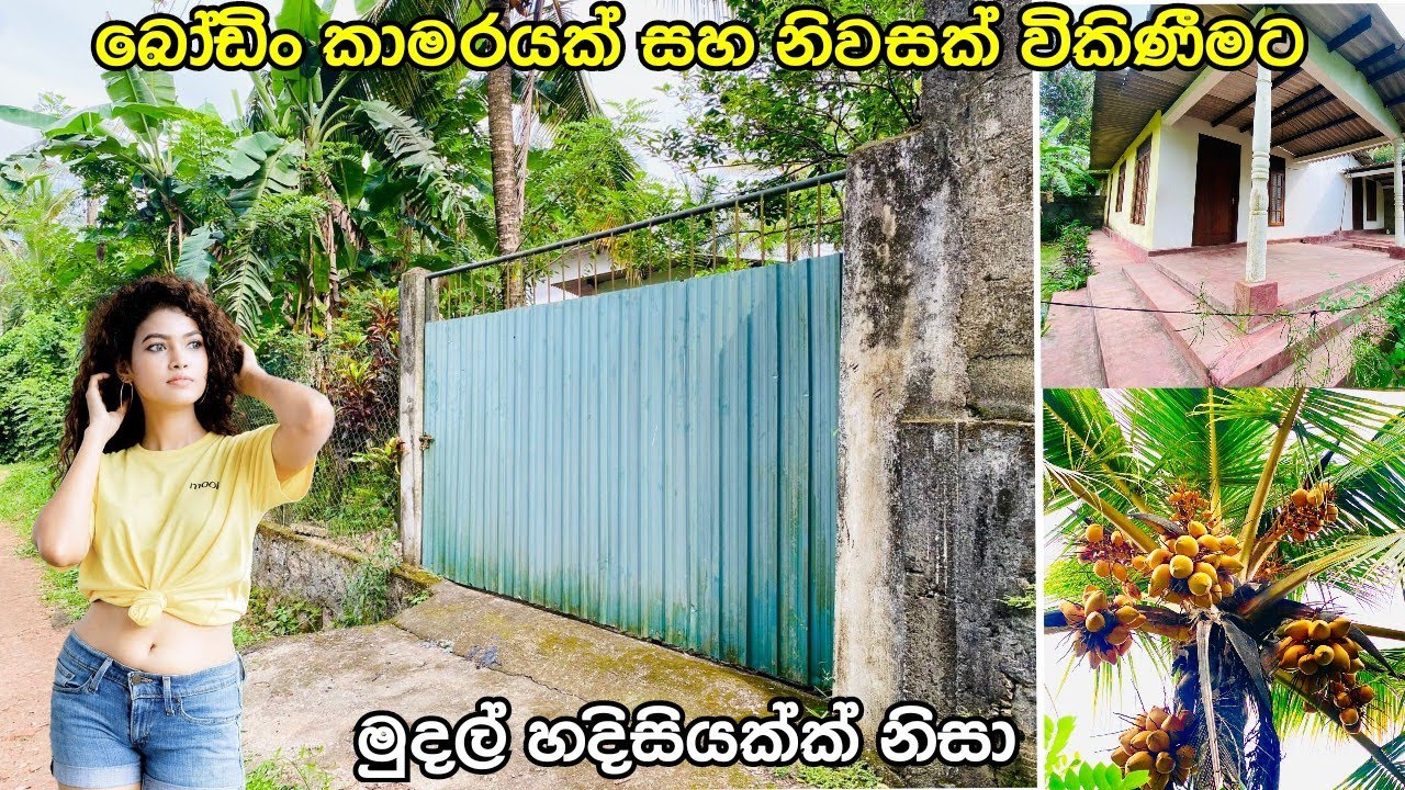 මුදල් හදිස්සියක් නිසා ඉතාමත් ඉක්මනට නිවසක් සහ ඉඩමක් විකිණීමට | house for sale #acland 