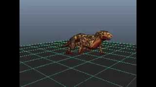 Lava Lizard Walk Aniamtion