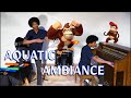 Donkey Kong Country "Aquatic Ambiance" (Solo Cover by Aaron Grooves)