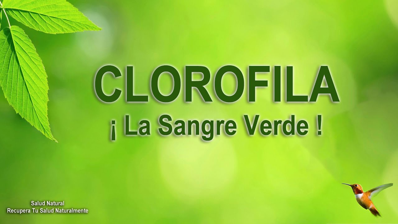 Clorofila - Desintoxica y Oxigena La Sangre, Aumenta la Clorofila - Desintoxica y Oxigena La Sangre, Aumenta la