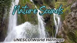 Exploring the World's Most Breathtaking Waterfall, Beautiful Forest Sounds, UNESCO World Heritage