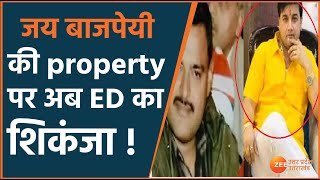 Kanpur Encounter Update : Vikas Dubey वाले  jai bajpai   की Property पर ED का शिकंजा | UP News