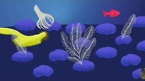 Deep-Sea Mining Must Be Stopped Before It Starts