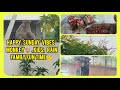 Simple Sunday Routine 🌧 |Morning View, Monkey Fun 🐒,Cooking & Kids Enjoying Rain #cooking #Vlog #fun