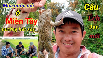 Câu Rắn Mối, Ếch Mùa Nước Lũ Nướng Quá Ngon l Dân Quê 66.