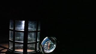 Пение Птиц Bird Song 26.05.2020 V2