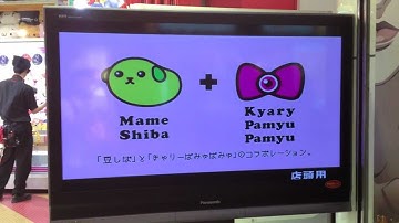 Mameshiba Kyary Pamyu Pamyu