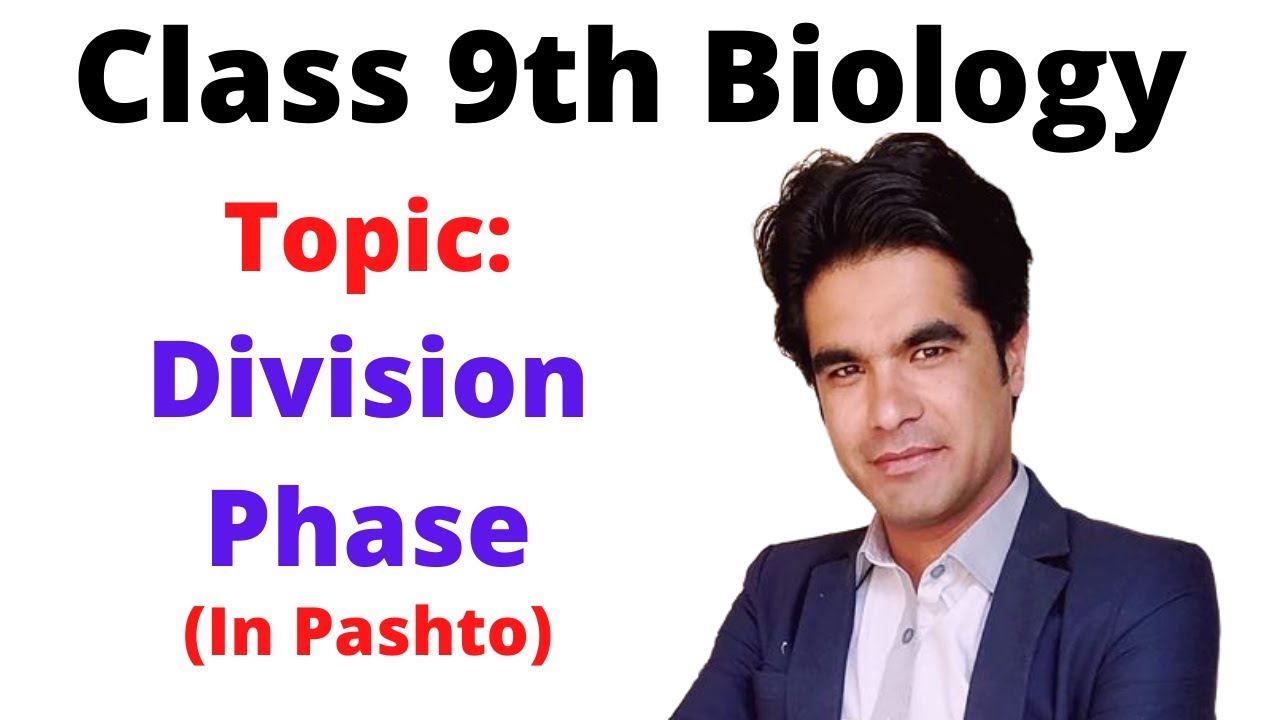 Division phase of cell cycle | Pashto | Home of biology