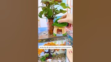 Kệ đa năng đặt góc bể cá | Aquarium corner organizer #aquatic #shorts