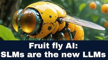 Fruit fly AI: SLMs are the new LLMs