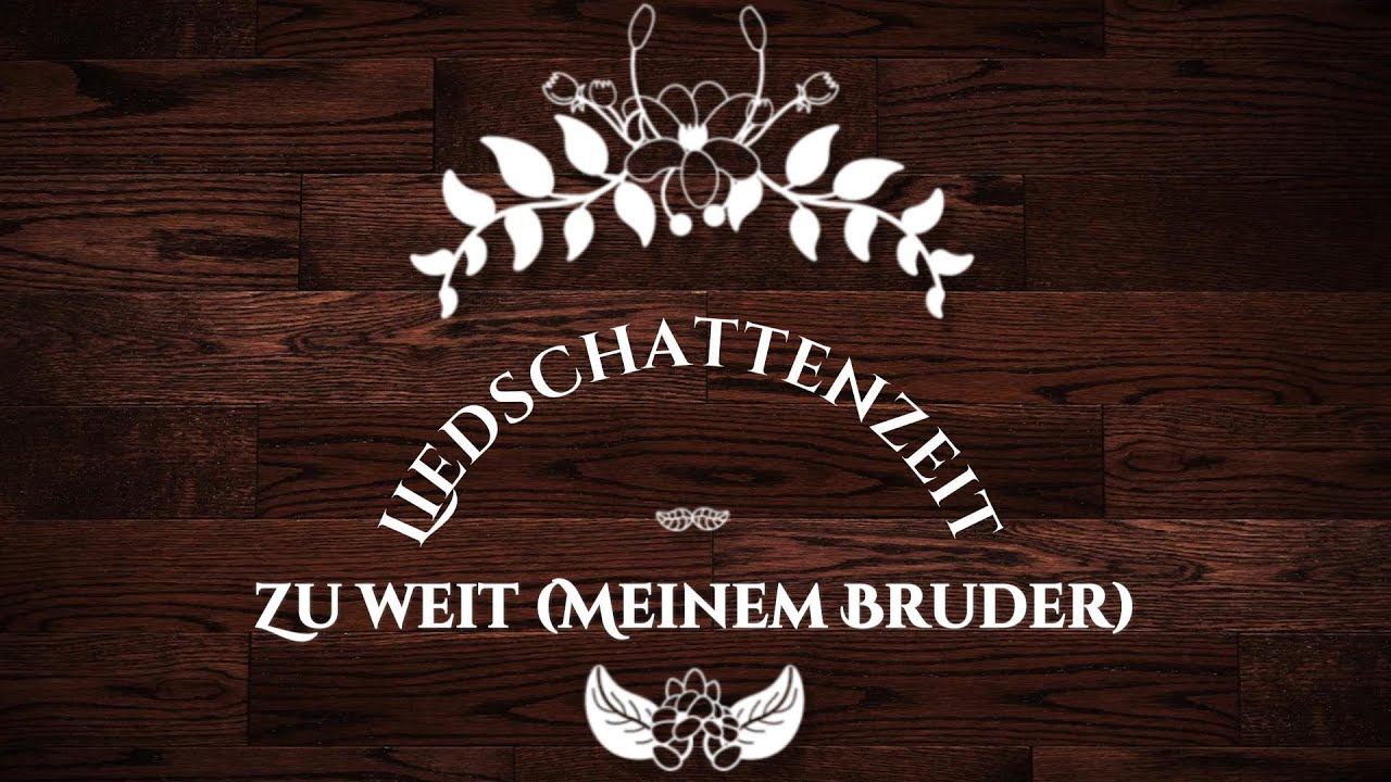 Zu weit (Meinem Bruder) - Liedschattenzeit