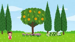 LUNA AND THE MAGIC FOREST ADVENTURE | Hoạt Hình Tiếng Anh Cho Bé | English Story for Kids
