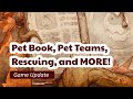 Prodigy Game Update | Pet Book, Pet Teams, Rescuing, and MORE!