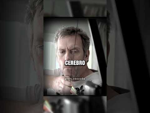 EL Doctor House - La Mejor Distracción Para Superar Tu Ex - Dr House