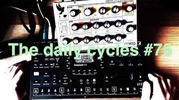 The daily cycles #75 (Octatrack, Moog Sirin)