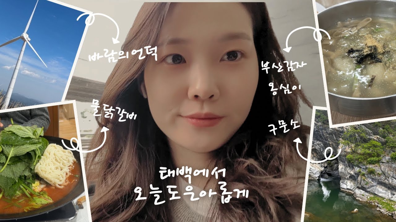 회계사 여행 브이로그 ㅣ 연휴 좋아 인간의 태백 가족 여행