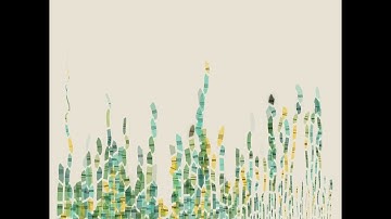 sap song . generative art