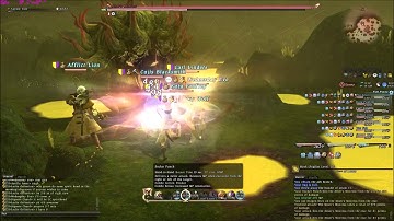 FFXIV 1.0: Misers Mistress -7 Monks 1 Paladin