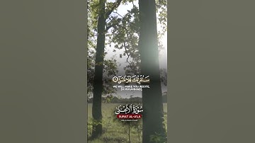 سورة الأعلى. #اكسبلور #اسلام #راحة_نفسية #تيك_توك #تلاوة_خاشعة #لايك #قرآن #islam #muslim