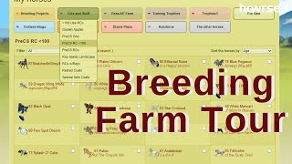 Breeding Farm Tour-My Howrse Collections screenshot 1